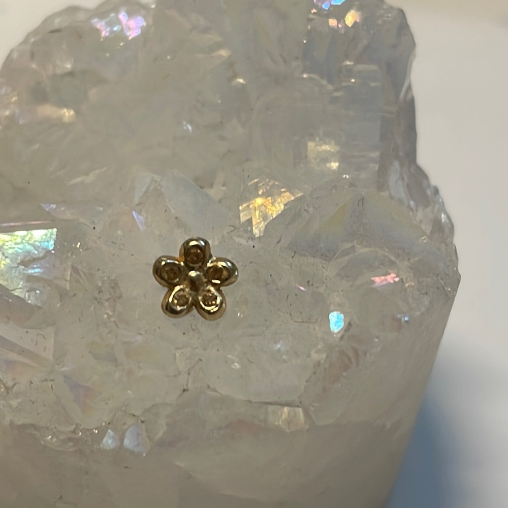 14k yellow gold flower screw stud